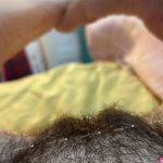 Eviebackup Posts X