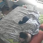 HCM Voyeur: Hacked IP cam solo masturbation