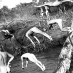 Nude swimming