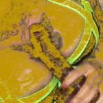 Sucking and fucking my BBC dildo