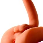 : Sexflesh Male Torso 2-in-1 Sex Doll: Realistic Life-Size Silicone Dildo Rider for Men Women Couples : Health Household