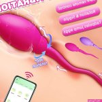 APP Controlled Vibrating Panty Egg Vibrator