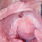 PUSSY LIPS stretching clitoris CLOSE UP harig poesje