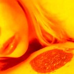 Chloe Grace Moretz Nude The Fappening Leak