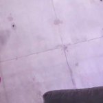 Free Download Sex Video