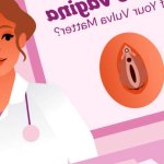 Innie vs. Outie Vagina: Does The Look of Your Vulva Matter?