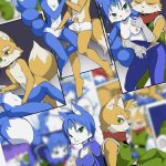 Krystal and Fox porn comic