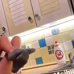 Young Girl Creampied in the Kitchen: Nude Porn feat. Claudia Macc