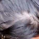 Quick blowjob with cum in mouth in the forest