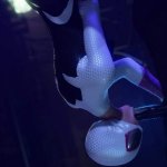 Gwen Stacy sucks dick upside down part 2