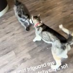 Alexia AlexiaWoods11 Posts and Replies X