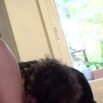 Sexy Milf Mom Gushes And Pisses When Anal Fucked By Stepson HD Pornhex