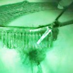 Hot Charleys Hairy Pussy Tweezed Tease Clip