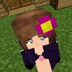 Minecraft sex mod