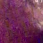 close up of this tight wet pussy gushing cream Porn Videos