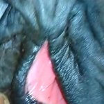 Horse pussy getting destroyed by a really kinky fella