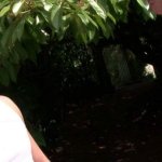 French Pig Diane Porn Videos