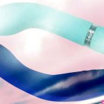 Difference Between Vibrators Dildos