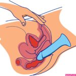 Anal Dildos: Everything You Need To Know